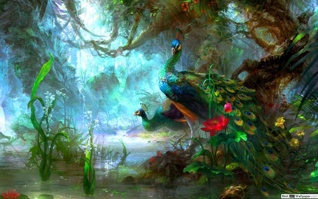 csodalatos rajz pava tapeta 1152x720 2
