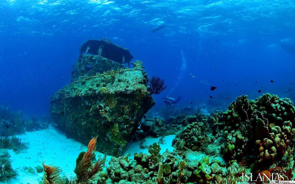 hajotores es roncsbuvar korallzatony tapeta 1152x720 2