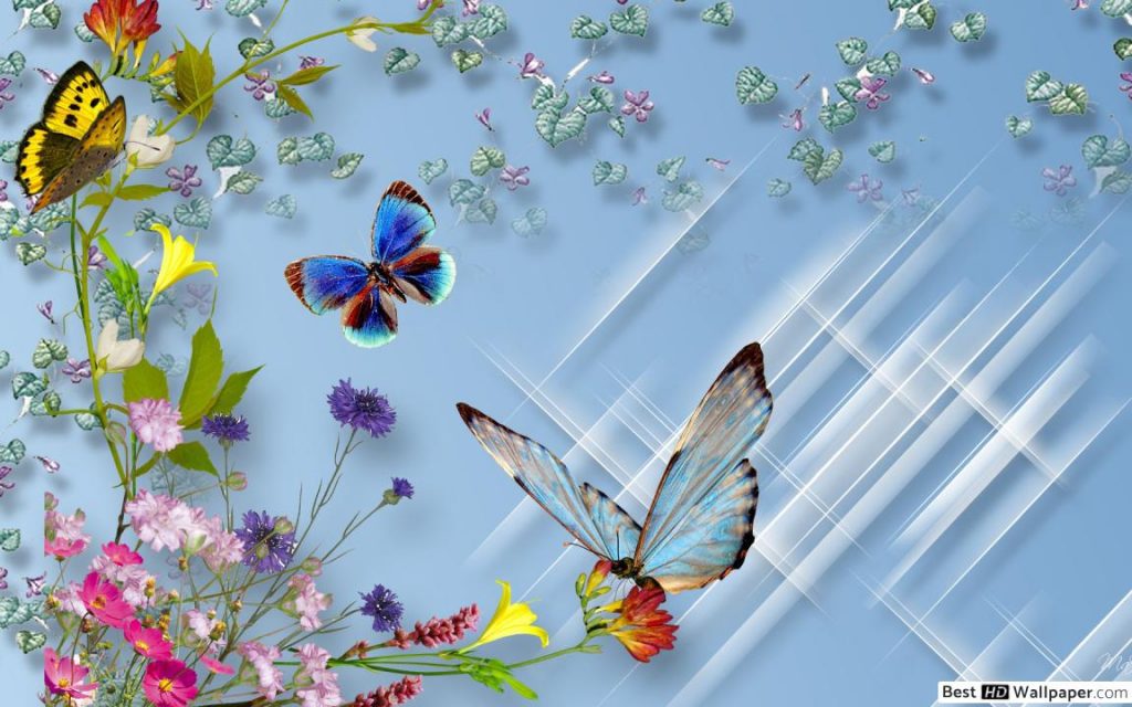 pillangok es viragok tapeta 1152x720 2