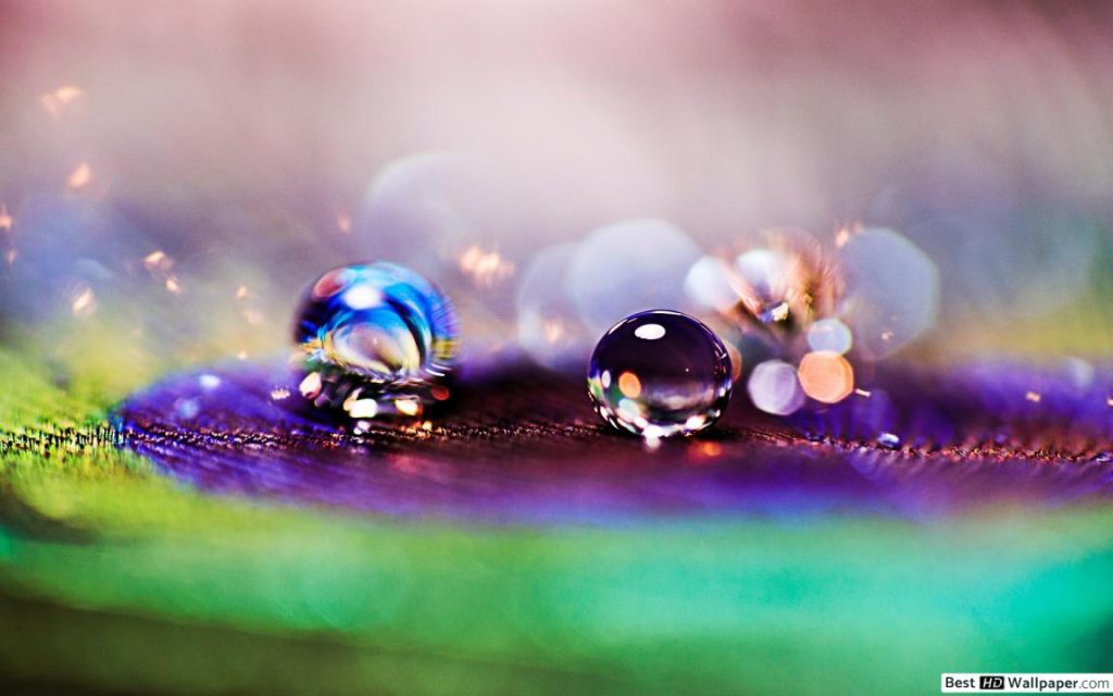 vizcsepp toll tapeta 1152x720 2