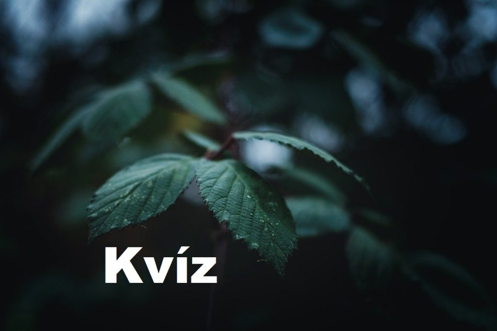 kviz 78
