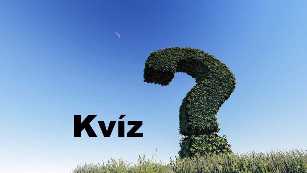 kvizportal 23