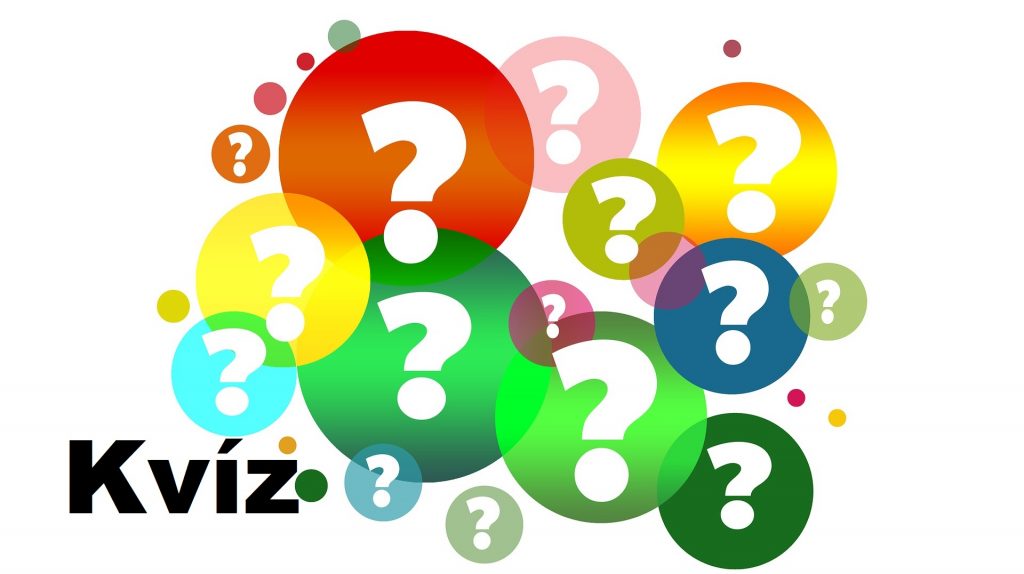 kvizportal 24