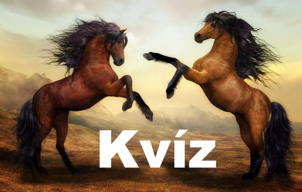 kvíz