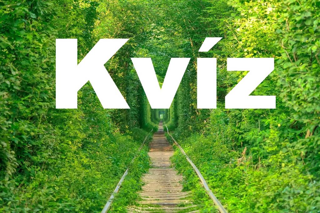 kvíz