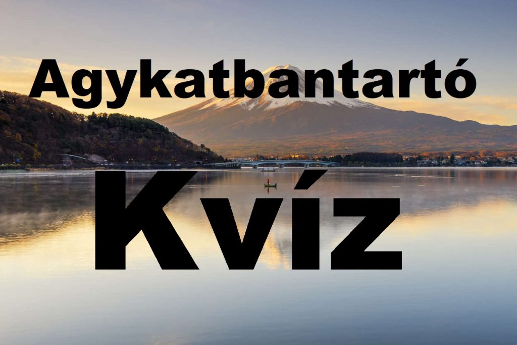 kvizportal 81