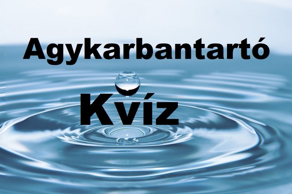 kvíz