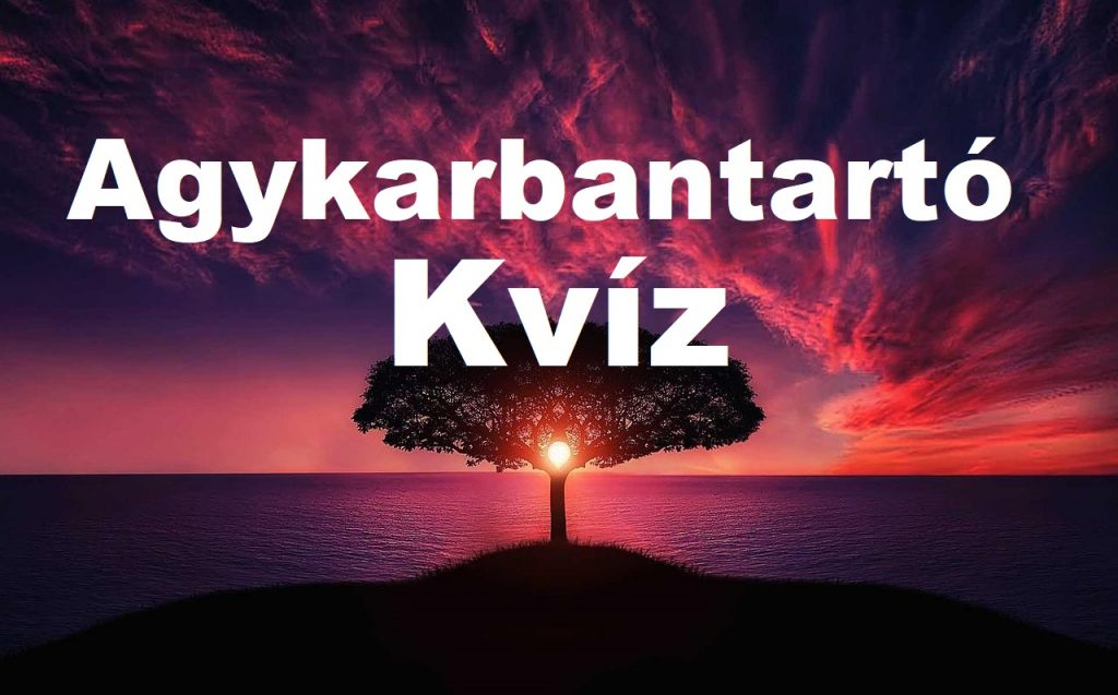 kvíz