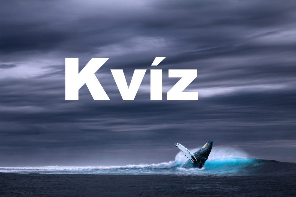 kvíz 115