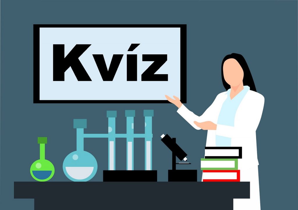 kvíz