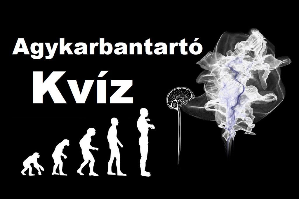 agykarbantartó kvíz