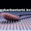 agykarbantartó kvíz