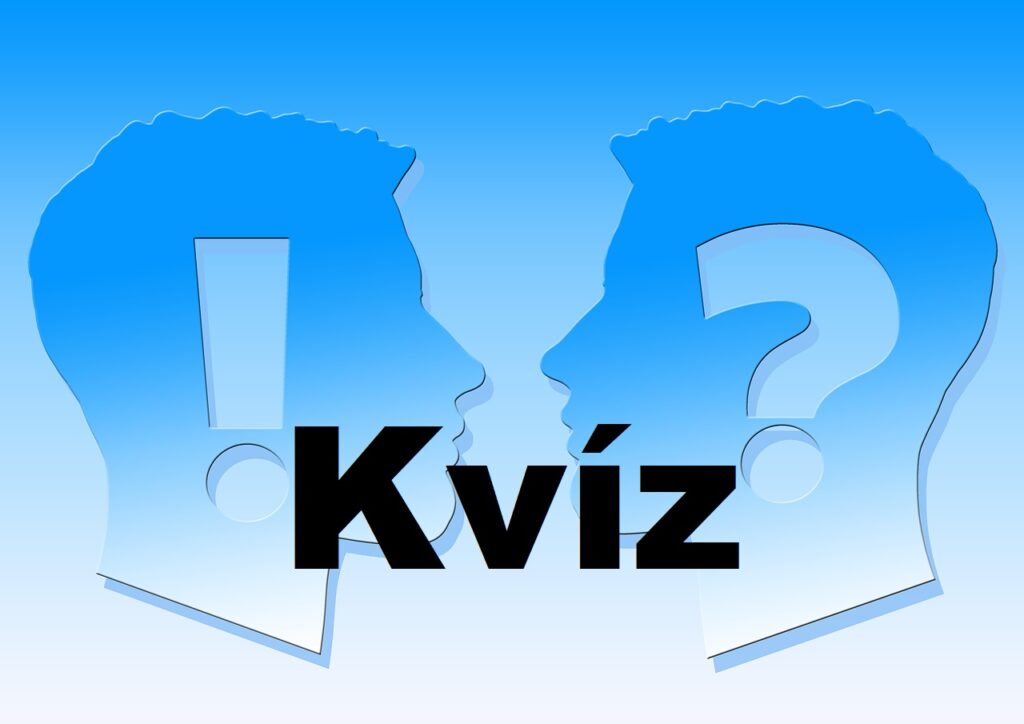 kvíz