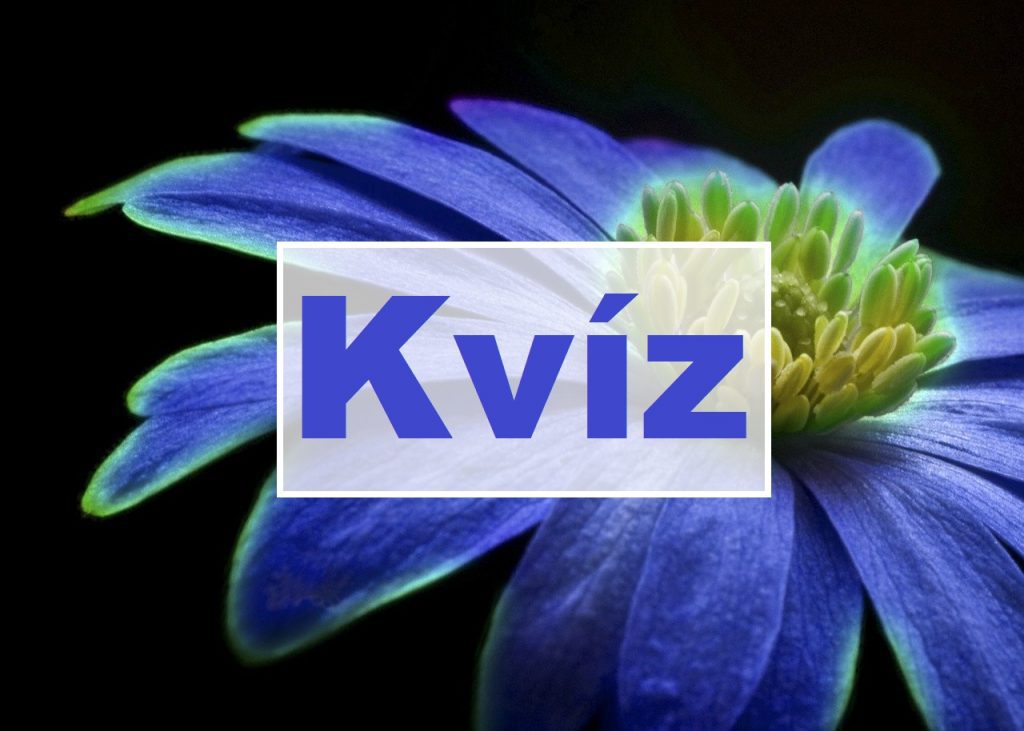 kvíz