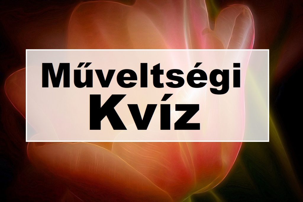 műveltségi kvíz