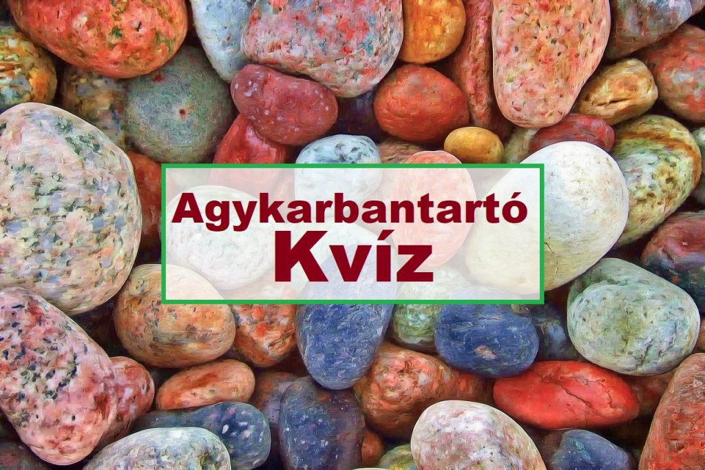 agykarbantartó kvíz