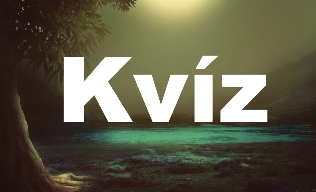 kvíz