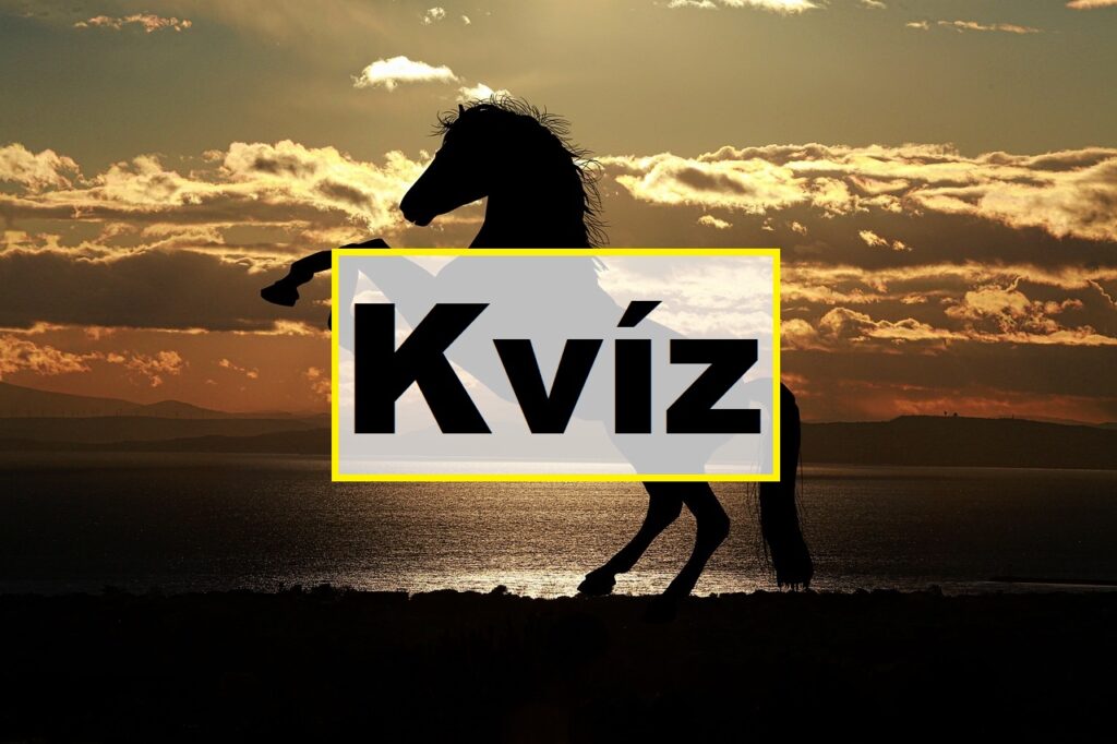 kvíz