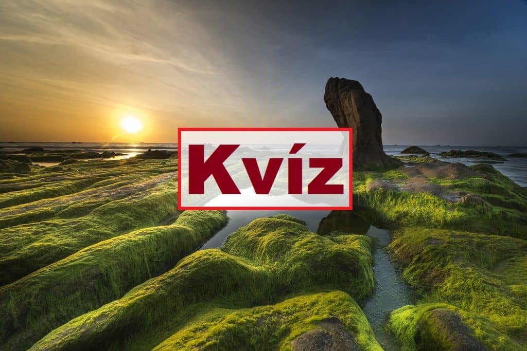 tudáspróba kvíz