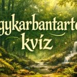 kvíz