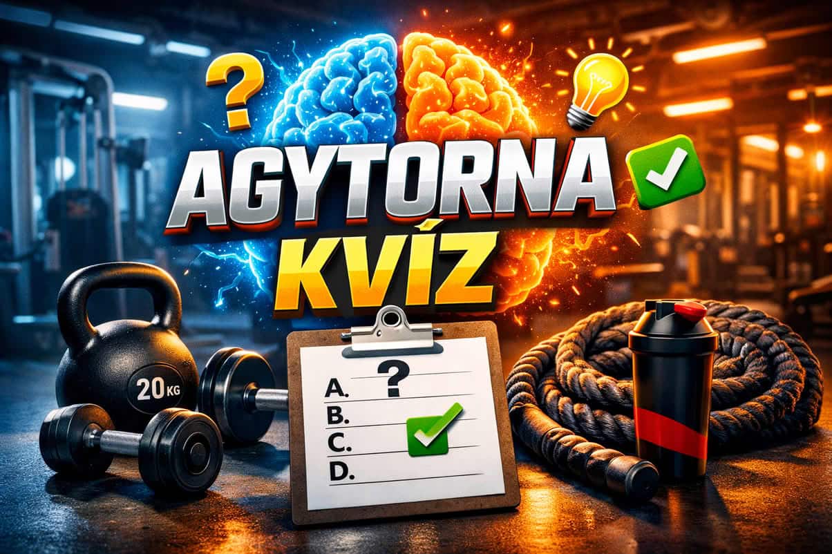 K agytorna 1204 kv 02 agytorna kvíz