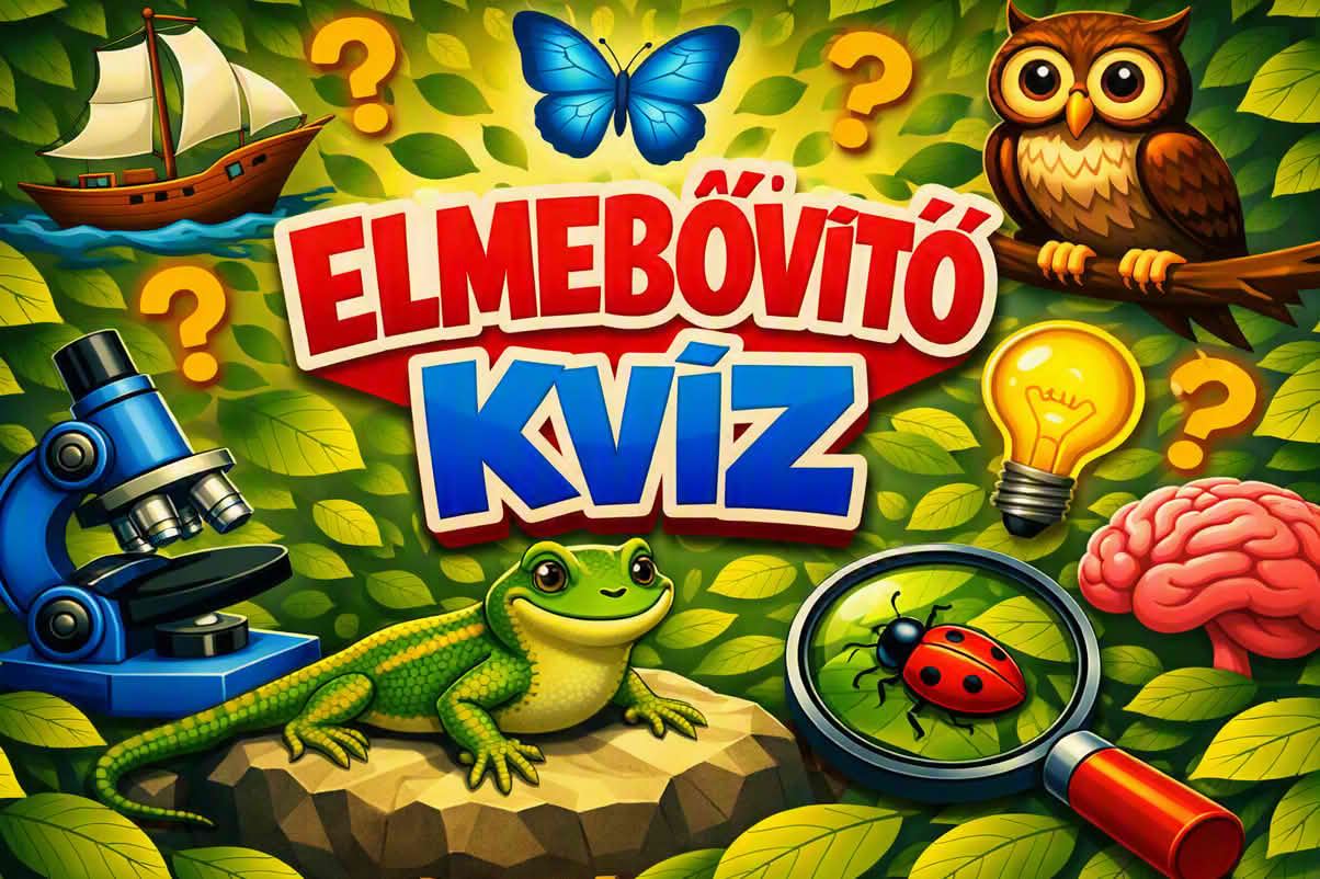 K elmebovito 1204 kz 02 Elmebővítő kvíz