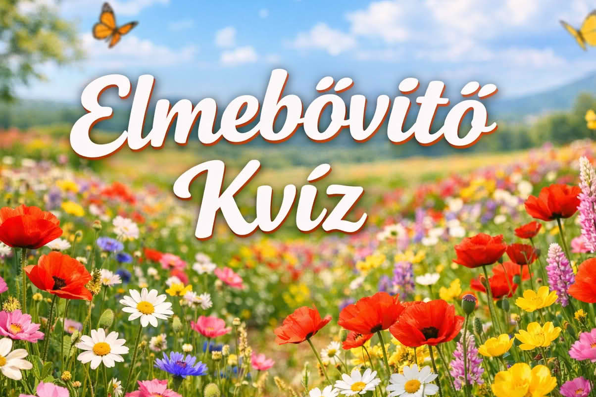 elmebővítő kvíz