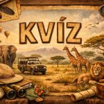 kvíz