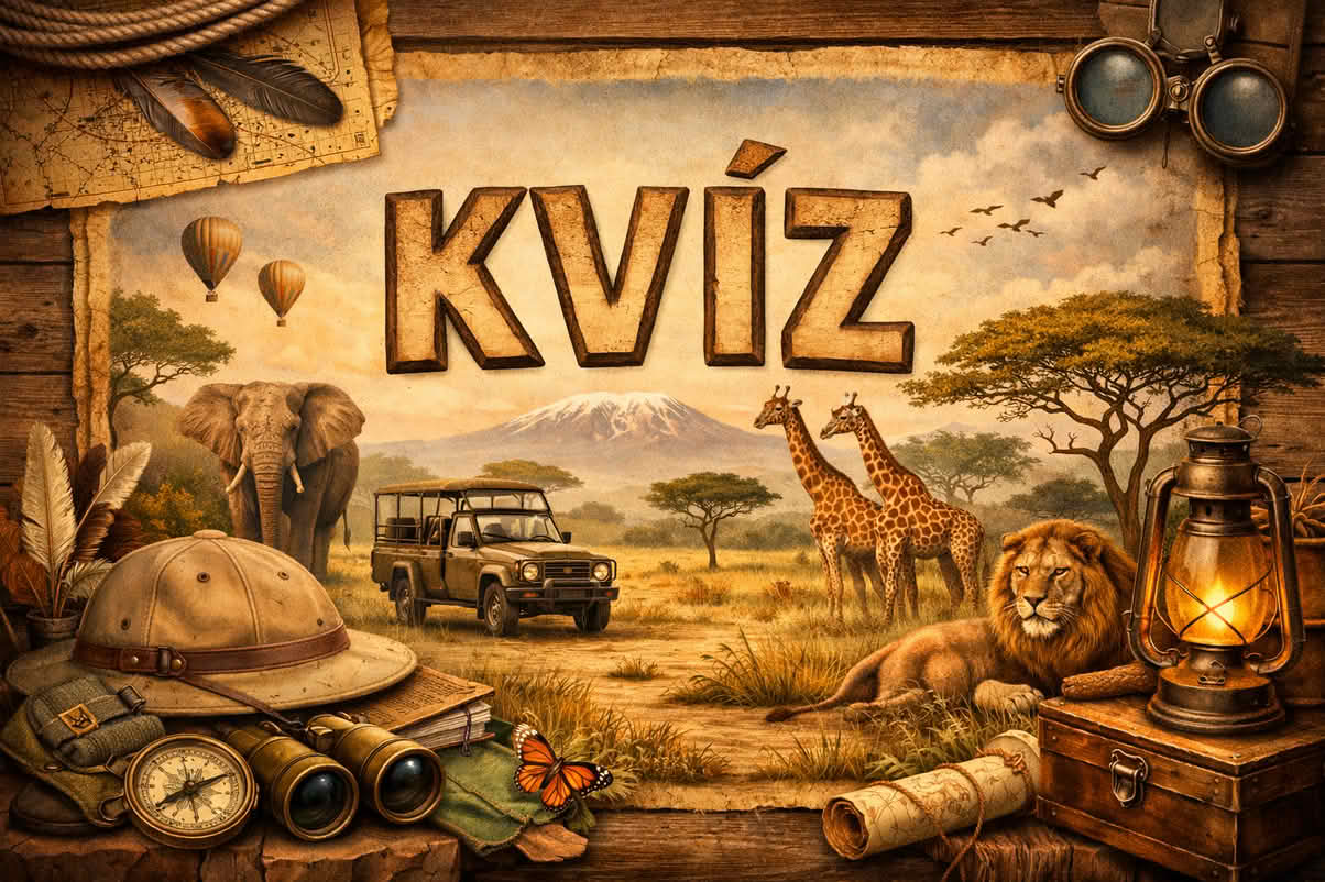 kvíz