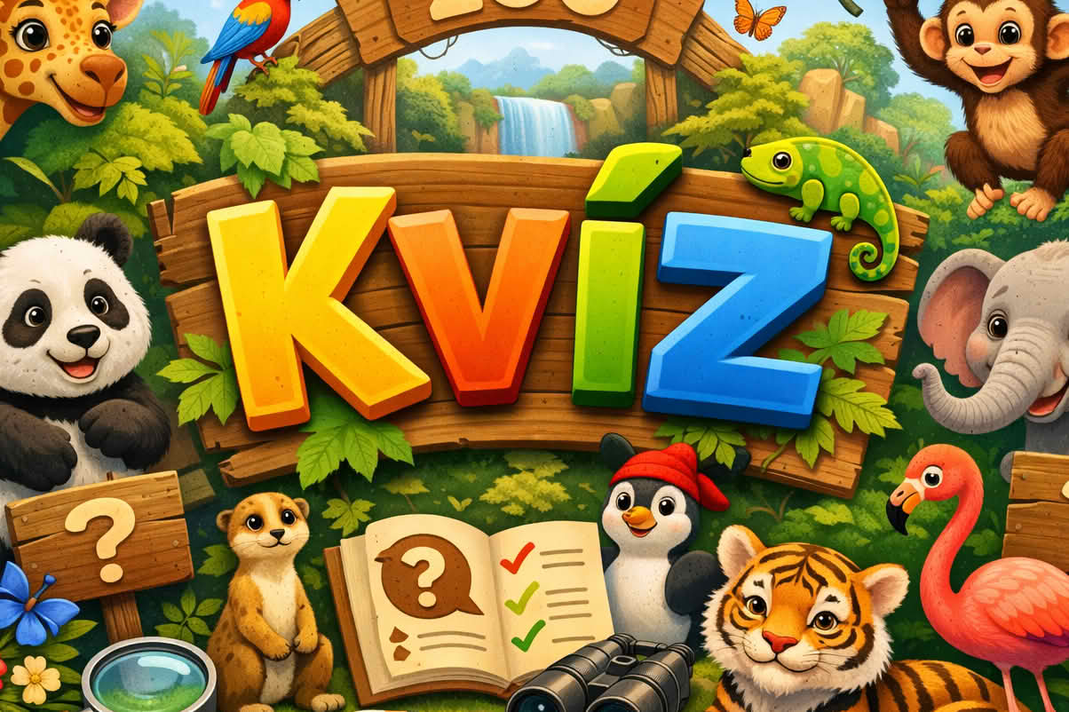 kvíz