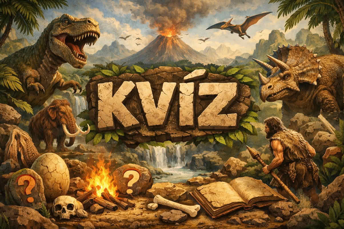 kvíz