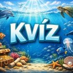 kvíz