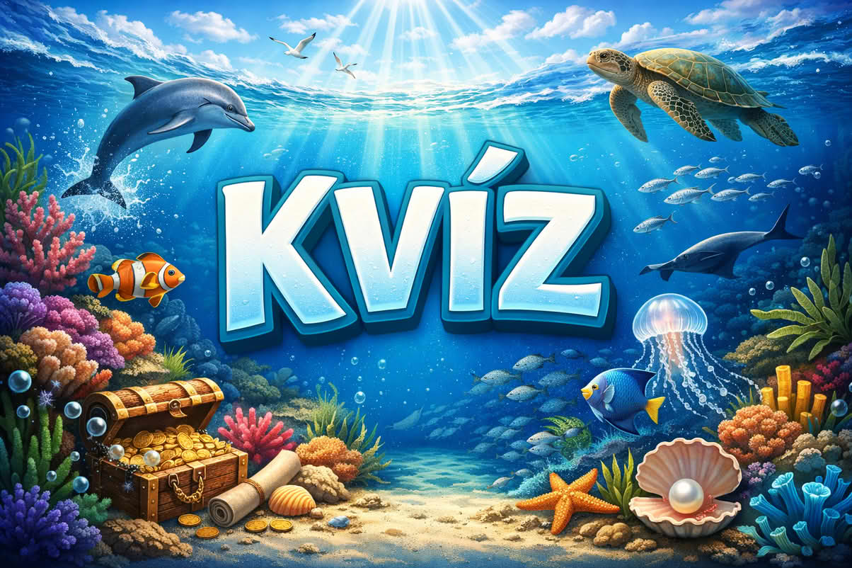 kvíz