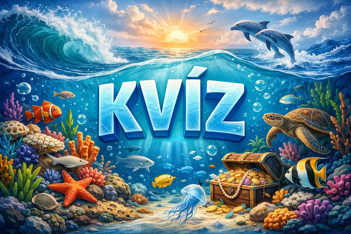 kvíz