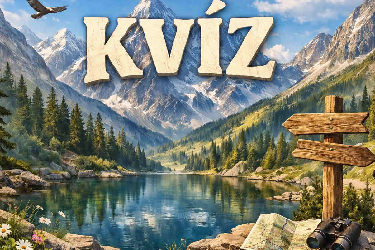 kvíz
