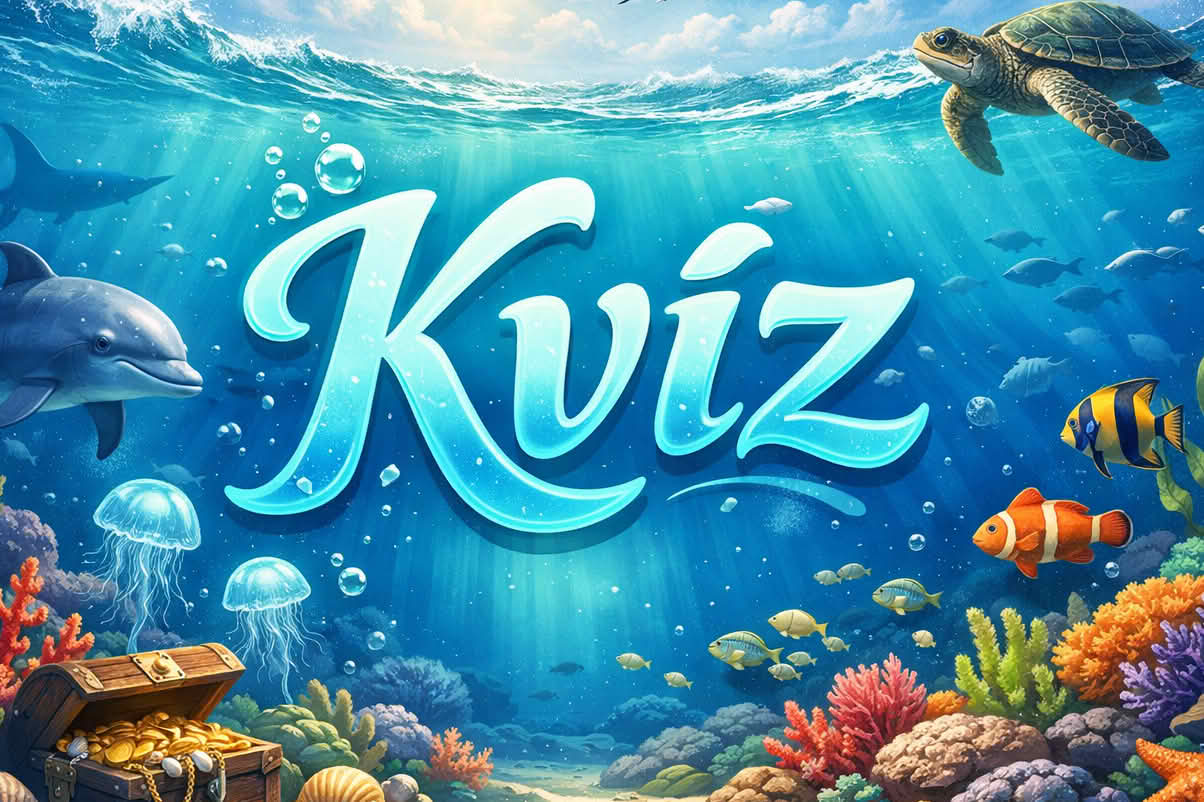 K kviz 1204 vk 10 kvíz