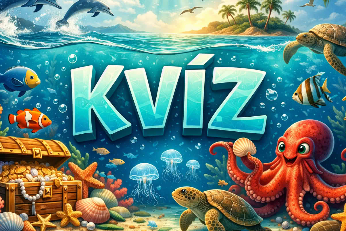 kvíz