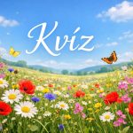 kvíz