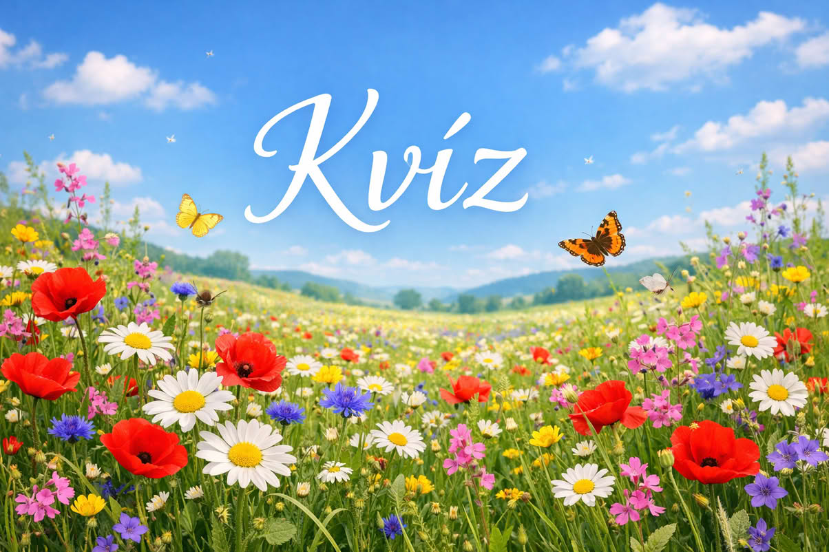 kvíz