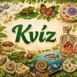 Kvíz
