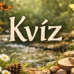 kvíz