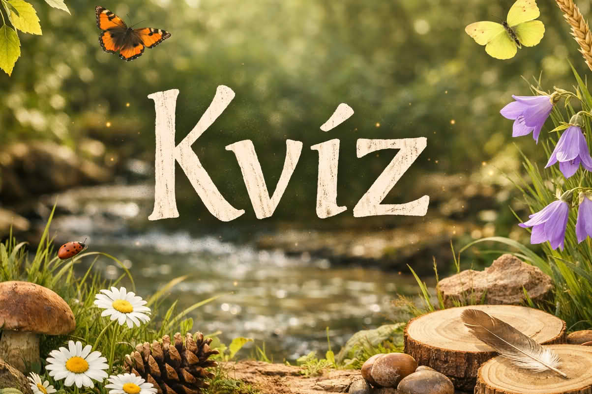 K kviz 1204 vz 04 kvíz