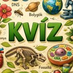 kvíz
