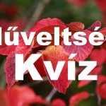 műveltségi kvíz