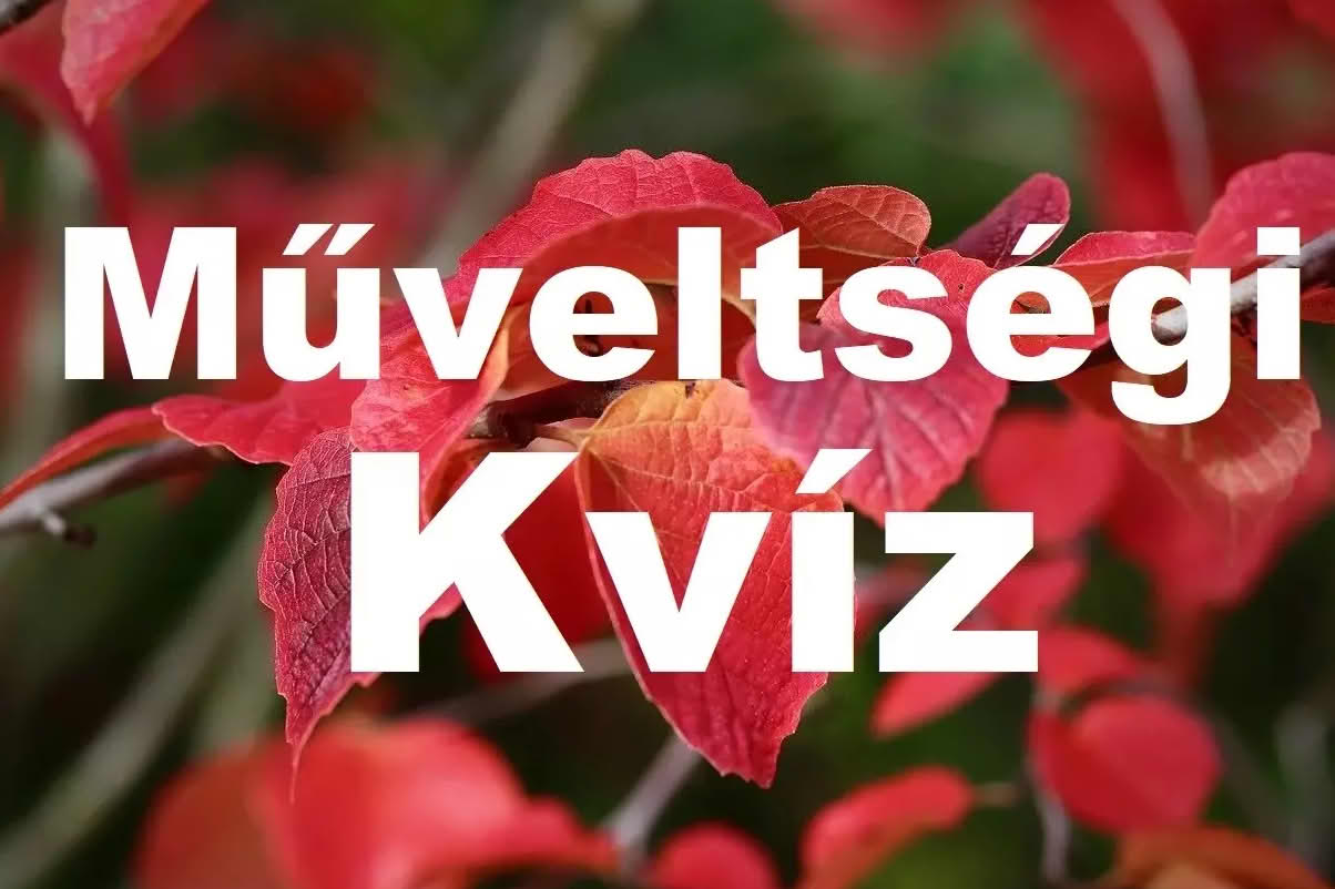 műveltségi kvíz