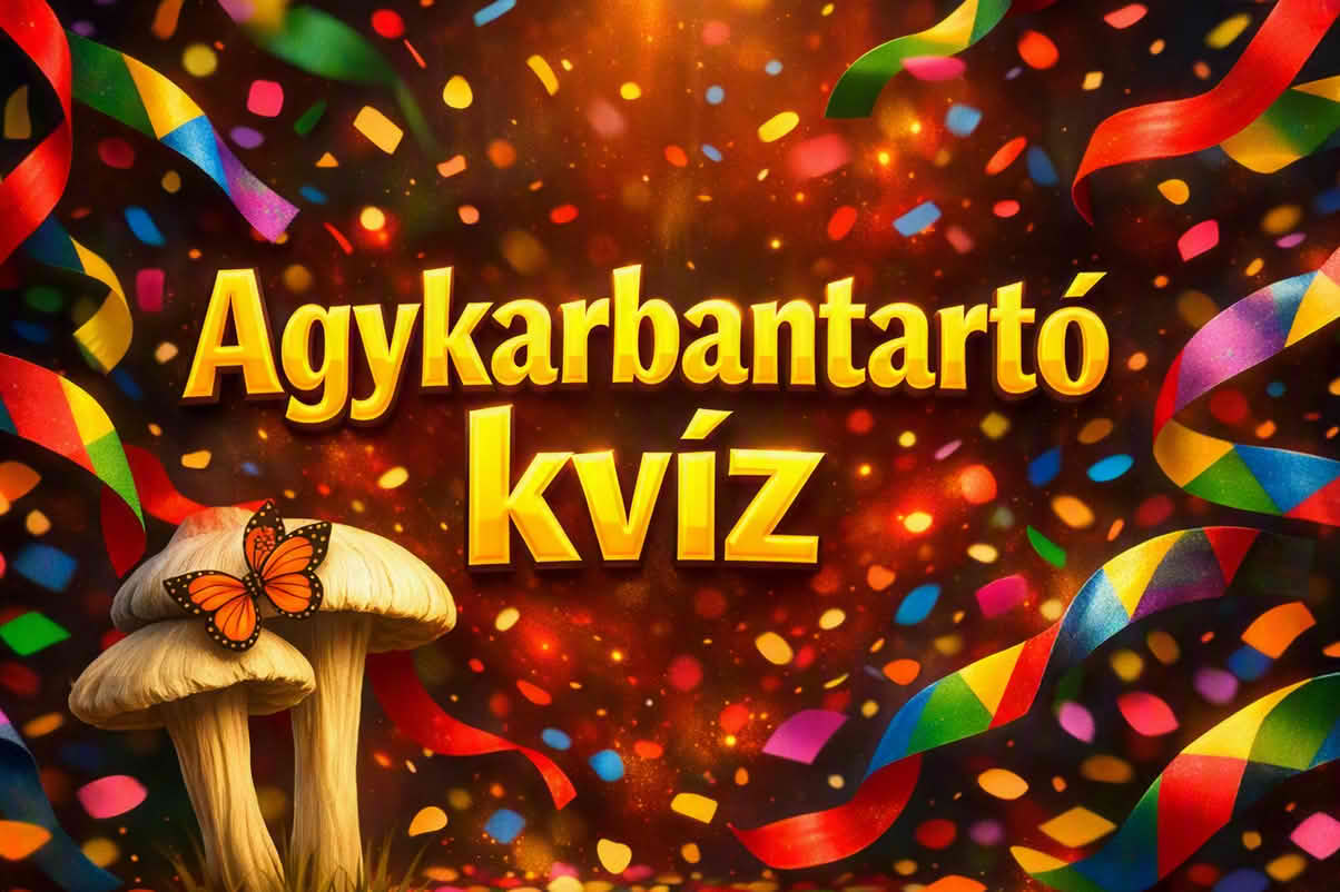 k agykarbantarto 1204 sp 03 Agykarbantartó kvíz