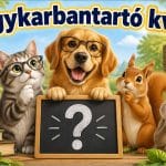 Agykarbantartó kvíz