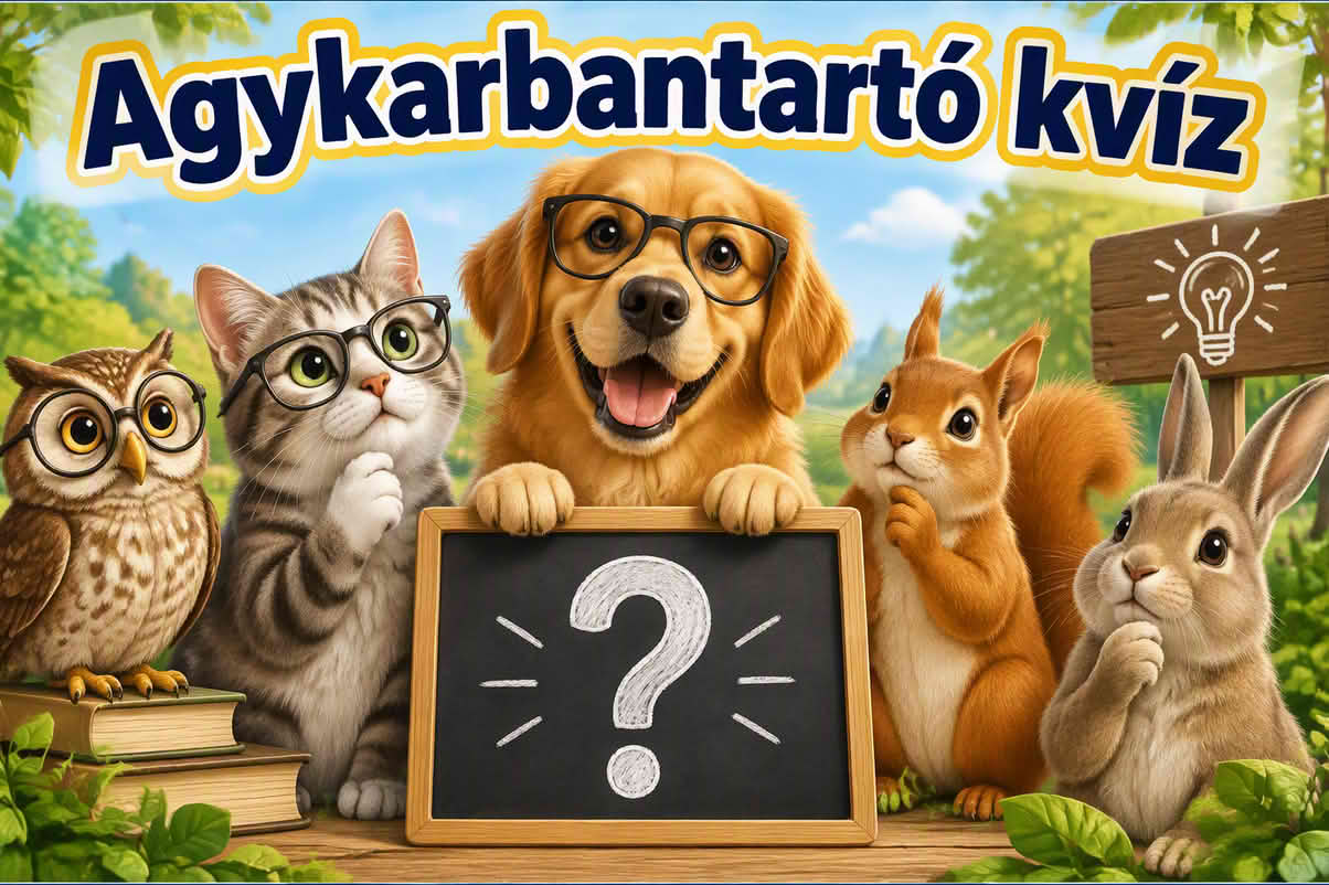 k agykarbantarto 1204 vk 06 Agykarbantartó kvíz