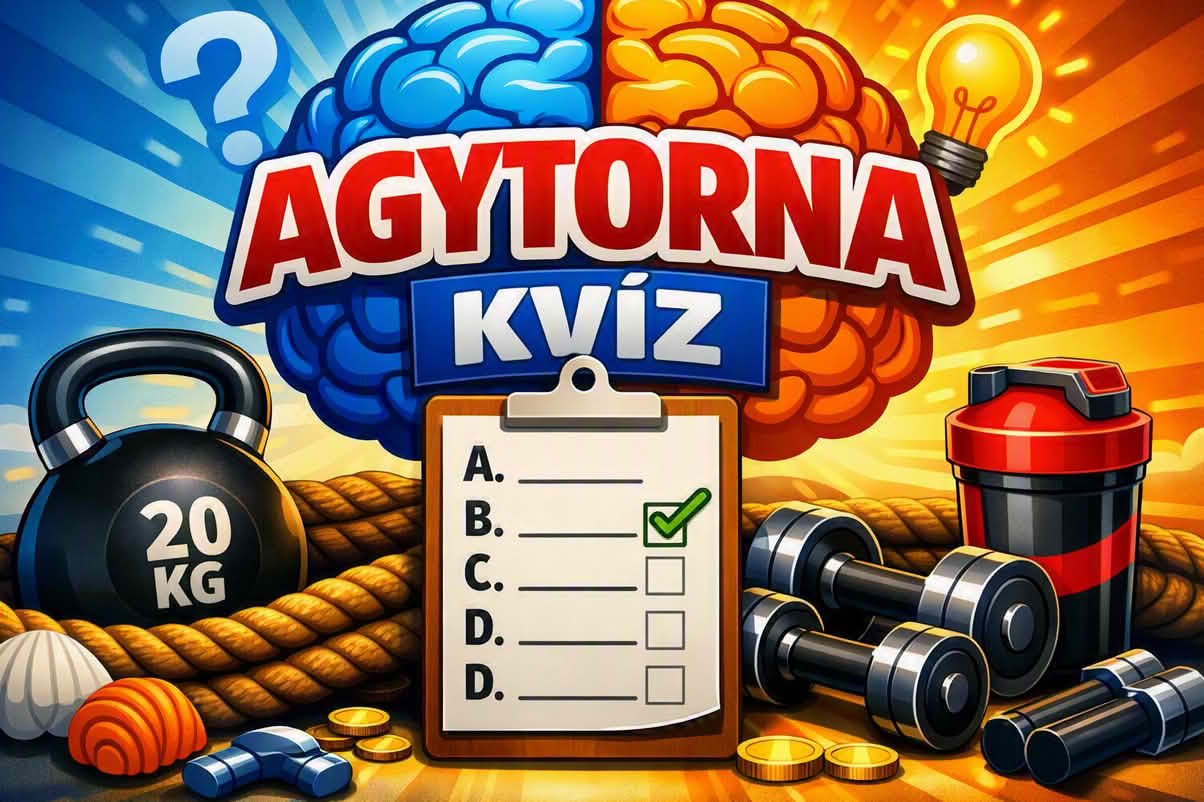 k agytorna 1204 kv 09 Agytorna kvíz
