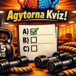 Agytorna kvíz